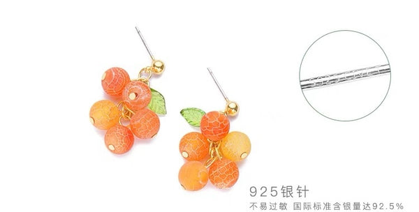 Pretty Orange Earrings/Clips PN6691