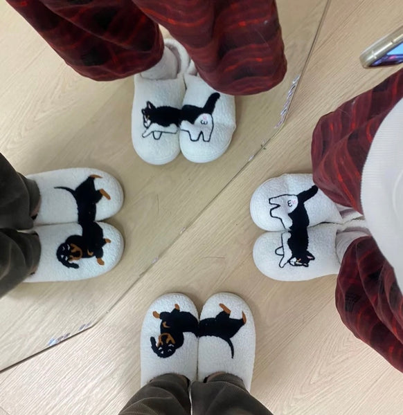 Cute Dog And Cat Slippers PN6893