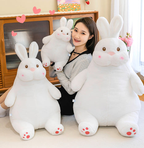 Lovely Rabbit Hold Pillow PN5727