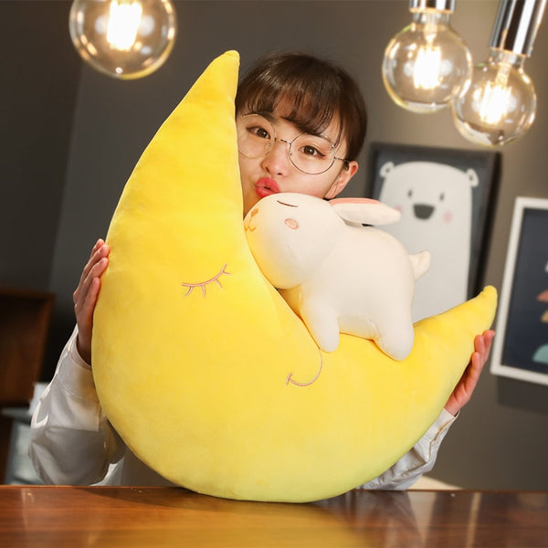 Lovely Rabbit Moon Hold Pillow PN2954