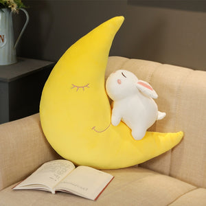 Lovely Rabbit Moon Hold Pillow PN2954